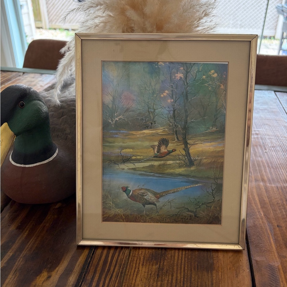 Framed Pheasant Wildlife Print in Silver Frame